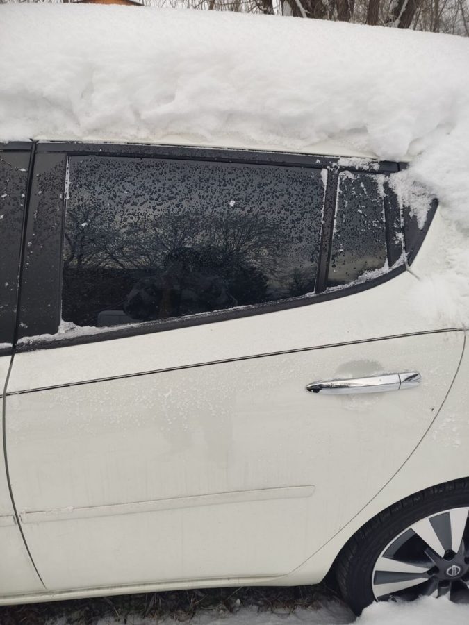 Дверка зад ліва Біла NISSAN LEAF