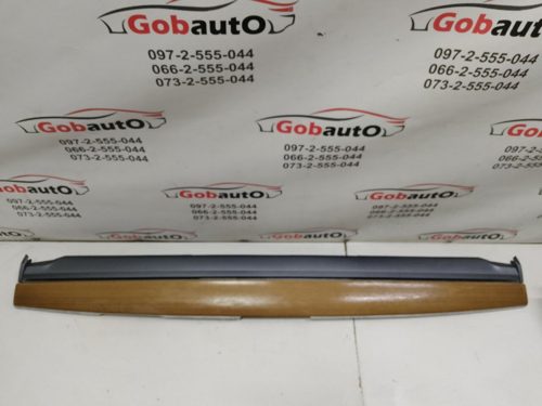 Декоративна накладка передньої панелі 1091225-00-F TESLA MODEL 3