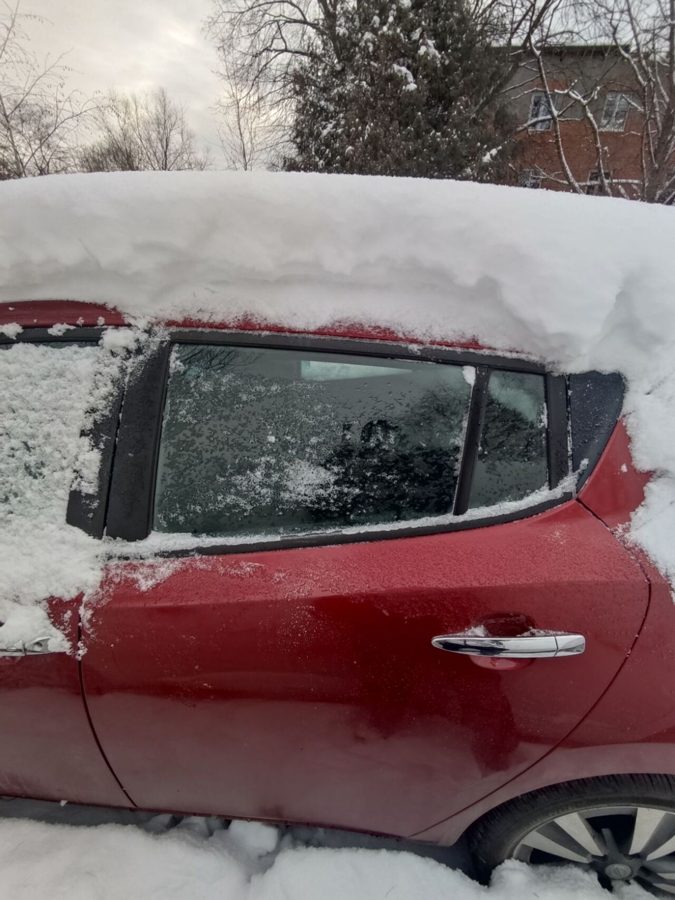 Дверка задня ліва червона NISSAN LEAF