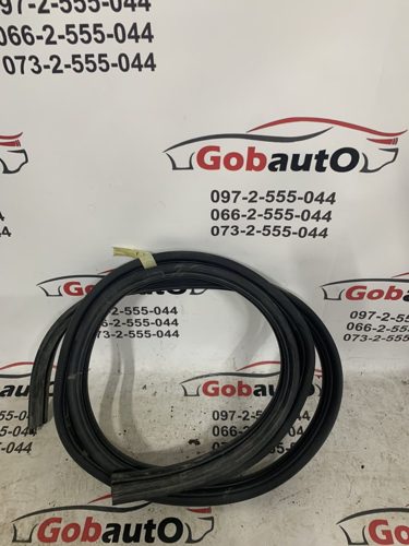 Ущільнювач задньї лівої дверки NISSAN QASHQAI J10